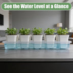 RooTrimmer 1020 Nursery Pot Trays 5 Pack, Transparent Plastic Flat Seed Starter Tray, Durable Square Seedling Starting Tray for Holding and Carrying Plant Pots (Clear)