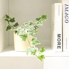 Golden English Ivy - Hedera Helix Kolibri (3" Grower Pot) - Eye-catching, Air-Purifying, Easy to Grow Houseplant - Best Trailing Houseplant for Home and Office Decoration