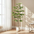 Faux Black Olive Tree 6FT,Artificial Tall Plant with White Planter and Stone,Potted Fake Tree with Natural Trunk,Artificial Plants Indoor for Home Office Living Room Corner Decor