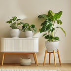 Ceramic Plant Pots Indoor - 10 Inch Planter with Drainage Hole and Saucer, Modern Planters for Indoor Outdoor Plants, Large Flower Pots, Bedroom Decor, Gardening Gifts, Textured Grey