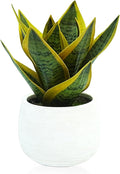 8" Artificial Snake Plant & Faux Agave in White Ceramic Pot - Sansevieria Potted Greenery, Real Touch Small Fake Plant for Home Office Desk, Bookshelf, Bathroom Decor (1 Pack)