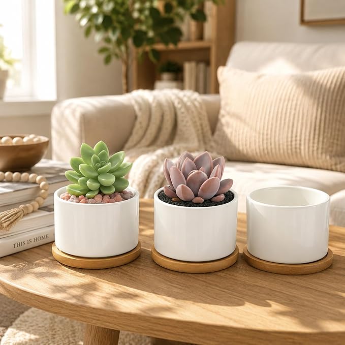 ZOUTOG Ceramic Succulent Pots 8 Pack,3.6 Inch Plant Pots,Succulent Planters with Drainage Hole & Bamboo Tray for Indoor Plants,White Small Flower Planters for Home,Office,Desk