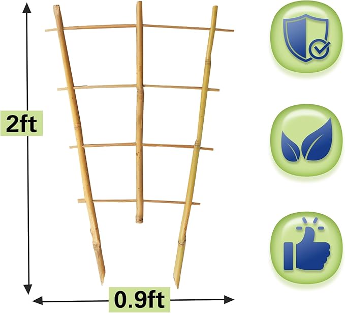 Bamboo Trellis 2FT 3 Pack, Plant Ladder Stakes 24 Inches, Natural Fan-Shaped Bamboo Trellis for Orchid Vines, Monarchs, Ivy and Other Plants Climbing, Help Plant Growth