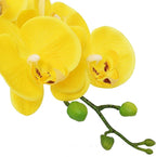 Htmeing 38 Inch Artificial Phalaenopsis Flowers Branches Real Touch (Not Silk) Orchids Flowers for Home Office Wedding Decoration,Pack of 2 (Yellow)