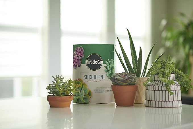 Miracle-Gro Succulent Potting Mix - Potting Soil Mix for Indoor Succulents, Aloe Vera and More, Made with Miracle-Gro Plant Food, 4 qt. (2-pack)