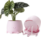TOPOLA Happy Face Planter, 5.2 Inches Plastic Plant Pot, Self Watering Plant Pot with Drainage Holes for Indoor Outdoor, Succulent Pot, Funny Flower Pot, Sakura