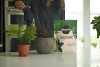 Miracle-Gro Houseplant Potting Mix - Fertilized Soil, Designed to be Less Prone to Gnats, 4 qt. (2-Pack)