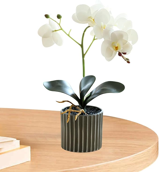 Artificial Orchid 12.6 Inch Tall Realistic Faux Orchid in A Pot Real Touch Decorative Bonsai Fake Flowers for Table Centerpieces Living Room Home Decor White