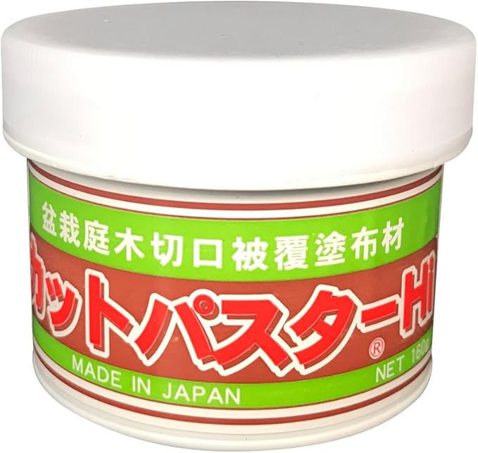 Bonsai Cut Paste for Deciduous - 160 Grams + Made in Japan, Pruning Sealer for an Injury to The Bark, Putty Based Wound Sealant for Perimeter Cuts to The Tree