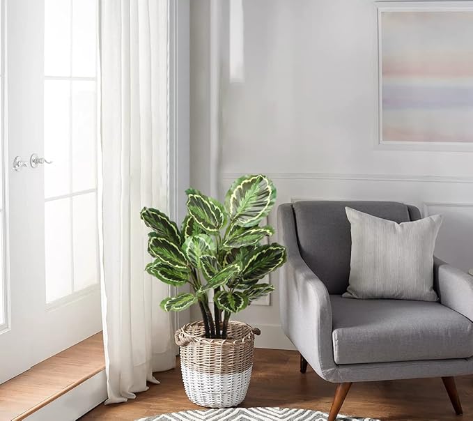 Briful 24.8" Artificial Calathea Medallion Plant Fake Plants Home Décor Tropical Faux Plant in Pot for Home Garden Office Decoration