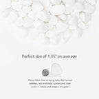 White Natural River Rocks, 1-1.5 Inch Decorative Stones for Plants, Garden, and Landscaping – 10LB, Ideal for Fish Tanks, Vases, Crafting, Home Decor, and Outdoor Landscaping