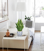 Hollyone Artificial Snake Plant Potted Faux Sansevieria Trifasciata Plants, 15.7" Tropical Fake Plants in Blue and White Porcelain Pots for Home Office Room Indoor Decor Housewarming Gifts