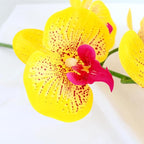 Htmeing 38 Inch Artificial Phalaenopsis Flowers Branches Real Touch (Not Silk) Orchids Flowers for Home Office Wedding Decoration,Pack of 2 (P-Stripe)