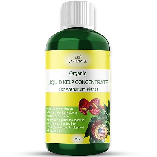 GARDENWISE Organic Premium Seaweed Anthurium Fertilizer - Liquid Kelp Plant Food - Nutrient-Rich Soil Enhancer (16 OZ)