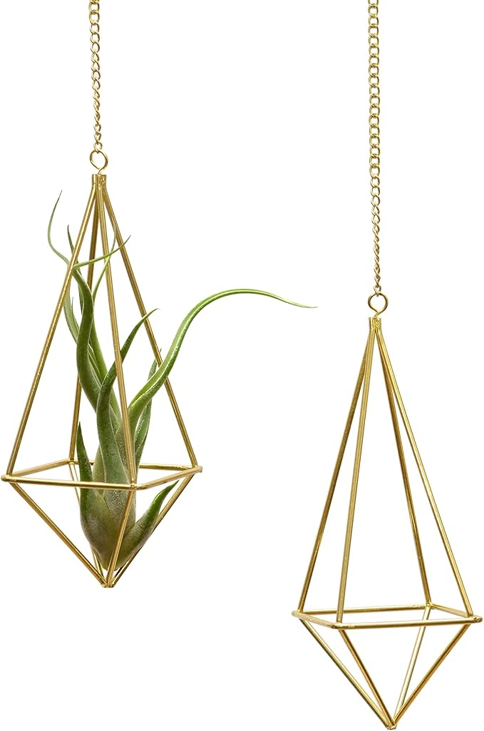 Geometric Hanging Tillandsia Holder Gold Metal Air Plant Holders for House Decor, Small Indoor Plants, Plant Lover Gifts (5Pcs)