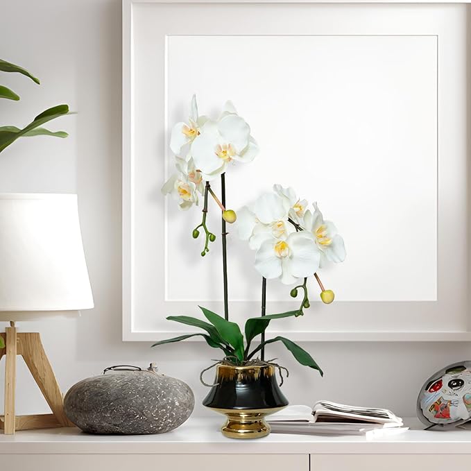 CXGS Orchids Artificial Flowers Realistic Fake Flowers in Ceramic Vase 20" White Faux Plants Indoor Lifelike Soft PU Phalaenopsis for Centerpiece Hotel Home Decor