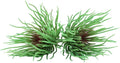 Mini Small Artificial Air Plants, Look Real Succulants Plant Faux Greenery Bromeliads for Garden Home Office Decoration (Green and Red)