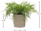 Briful Small Fake Plant Potted Plants Artificial Decor Plastic Asparagus Ferns Plant Faux Plants in Pots for Home Living Room Bedroom Desk Shelf Farmhouse Decoration