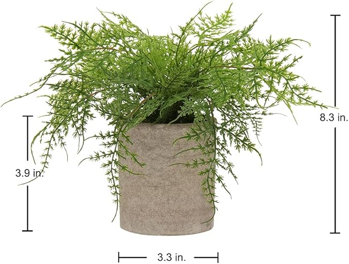 Briful Small Fake Plant Potted Plants Artificial Decor Plastic Asparagus Ferns Plant Faux Plants in Pots for Home Living Room Bedroom Desk Shelf Farmhouse Decoration