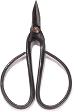 BambooMN Brand - 7.25" Black Bonsai Shear - 10 Shears