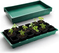 RooTrimmer 1020 Nursery Pots Trays 5 Pack, Plastic Flat Seed Starter Trays, Durable Seedling Potting Tray for Carrying and Holding Planting Pot (Green)