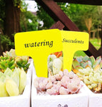 DaTpuik 100 Pcs Yellow Thick Plastic Plant Labels Markers Tags Garden Re-Usable T-Type Sign with Marking Pen