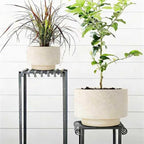 Succulent Pots, 8 Inch + 6 Inch Plant Pots for Plants with Drainage Hole, Indoor Outdoor Ceramic Planter, Set of 2 Round Flower Pots for Succulent and Plants, Beige