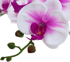 Htmeing 38 Inch Artificial Phalaenopsis Flowers Branches Real Touch (Not Silk) Orchids Flowers for Home Office Wedding Decoration,Pack of 2 (White Pink)