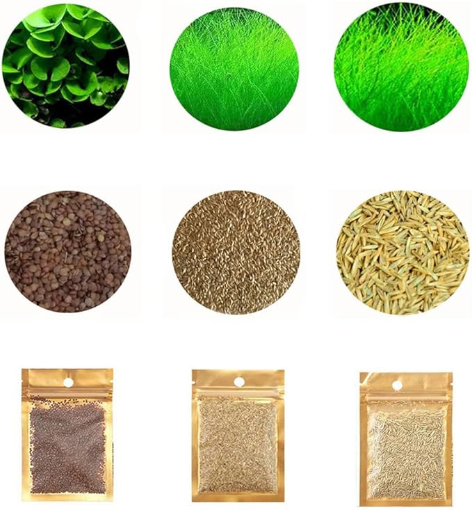 3 Pack Aquarium Plant S.e.e.d Set, not Artificial plasticl Plant. Real Grass Tank Decor Replacement for Resin or Plastic Grass N0：9527-12