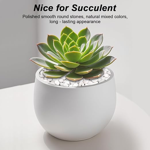 Succulent Rocks,Virekm River Rocks,Decorative Ornamental Pebbles,Garden Landscaping Stones,Gravel Filler for Home Decoration Flower Bed Fish Tank Plants Vases Succulents (1, White, 2 Pounds)