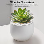 Succulent Rocks,Virekm River Rocks,Decorative Ornamental Pebbles,Garden Landscaping Stones,Gravel Filler for Home Decoration Flower Bed Fish Tank Plants Vases Succulents (1, White, 2 Pounds)