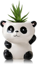 DIYOMR Cute Animals Planter, Mini Ceramic Cartoon Animal Shaped Succulent Flower Pot Indoor Air Plants Holder, Smooth Shiny Decorative Flower Cactus Planter - Plants Not Included (Panda)