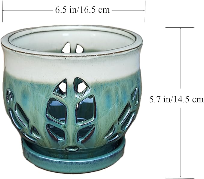 W&W Orchid Pot with Holes and Saucer for Repotting, Teal Mix, 6.5"