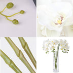 FagusHome 32" Artificial Phalaenopsis Flowers 6 Pcs with 4 Bundles Leaves Artificial Orchid Flowers Stem Plants for Home Décor (6Pcs)