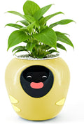 Plantbot Upgraded Large Smart Flower Pot Pet Planter Robot with Artificial Intelligence, Time Temperature Display, and Numerous Expressive Animations Based, for Indoor Decoration, Gifts (Yellow)