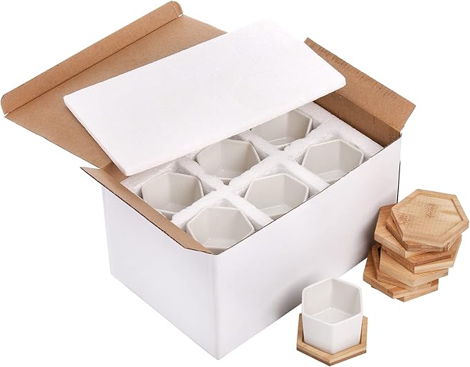 Foraineam 10 Pack Mini Succulent Plant Pots, 2.76 inch Hexagonal White Ceramic Succulent Cactus Planters with Bamboo Tray