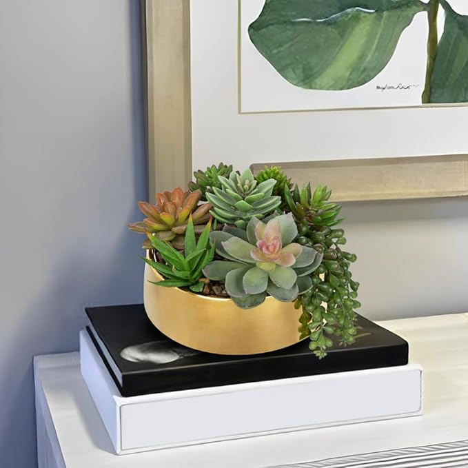 DILATATA Artificial Succulent Plants in Pot 5.5 Inch Fake Succulents Arrangement Potted Plant in Gold Ceramic Planter Bowl for Home Office Desk Shelf Living Room Bedroom Bathroom Decor