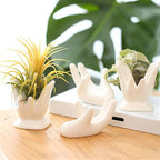 Air Plant Holder Cute Ceramic Mini Hand Shape Stand Airplants Tillandsia Small Container Pot Plant Decorative Home Decor for Desk Table Shelf Office Decorations, White