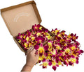 Miami Fresh Orchid Loose Bloom PERISHABLE flowers OrchidClub USA Sunne Tropical DIY lei, food & drink decoration (100 YELLOW)