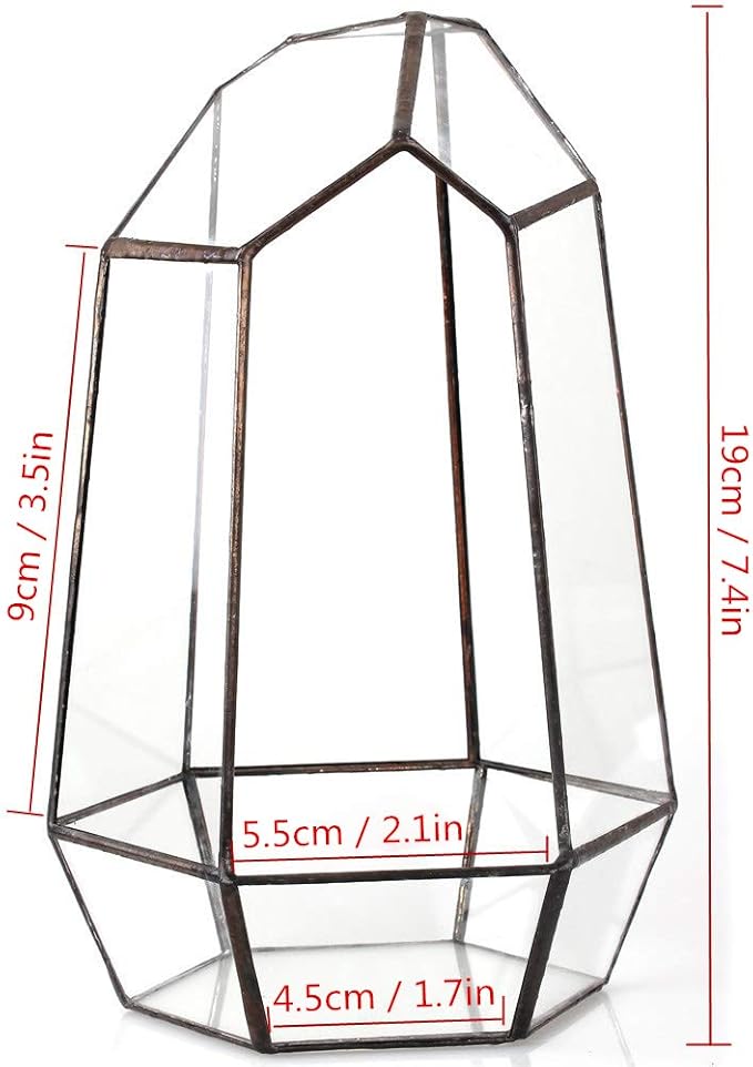 NCYP Small No Door Glass Geometric Terrarium - 4.9 x 3.9 x 7.4 Inches Irregular Clear Terrarium Pot for Mini Succulents, Small Cactus, Indoor Garden Tabletop Decoration (No Plants)