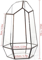 NCYP Small No Door Glass Geometric Terrarium - 4.9 x 3.9 x 7.4 Inches Irregular Clear Terrarium Pot for Mini Succulents, Small Cactus, Indoor Garden Tabletop Decoration (No Plants)