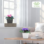 Self Watering Planters for Indoor Plants : 5 inch 6 Pack White Planter with Water Level Indicator African Violet Self Watering Flower Pot for Herb pots