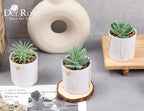 Der Rose 3 Pack Small Fake Plants Succulents Plants Artificial in Pots for Home Office Desk Decor for Women