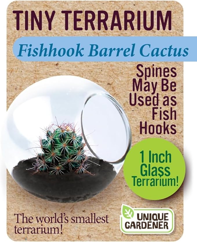 Unique Gardener Tiny Terrarium Plant Seeds 6 Variety Cacti Pack, DIY Indoor Succulents and Live Plants for Home or Garden Planting, Assorted Cacti Pack