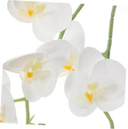 PRETYZOOM Artificial Phalaenopsis Orchid Stem Realistic Faux Butterfly Orchid Flower for Home Decor Living Room Office Wedding and Event Decoration