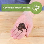 Sow Right Seeds - Bulk Mixed Kale Seeds for Planting - 4 Grams, 1200 Seeds - Non-GMO Heirloom Jumbo Packet to Plant Home Vegetable Garden - Grow Loads of Healthy Kale - Variety of Colors and Textures