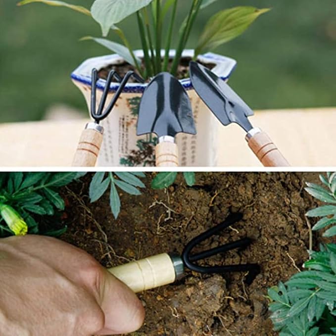 Ciieeo 10pcs Mini Gardening Tool Set for Succulent and Potted Planting with Wooden Handles, Soil Detecting Device, and Bonsai Accessories for Indoor and Outdoor Plant Care