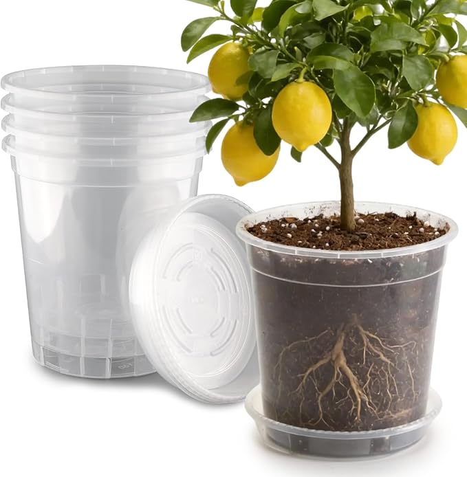 BTPLASTIK 5 Gallon Clear Nursery Pots with Saucers 5P, 12 Inch Round Plastic Plant Pots with Drainage Holes