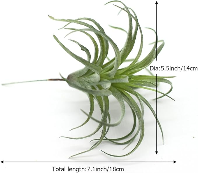 2PCS Artificial Flocking Tillandsia Air Plants Faux Succulents Bromeliads for Indoor/Outdoor Garden and Home Decor, Terrarium Decorations, Arrangements, Office, and Displays(Small)