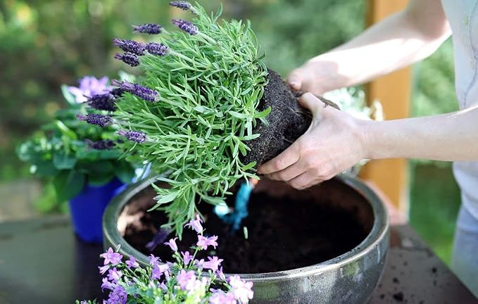 Gardenera Premium Moisture Control Potting Mix - Get The Perfect Balance of Moisture and Nutrients for Your Plants! - 4 Quart